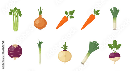 Fresh Vegetables: Celery, Onion, Carrot, Leek, and Turnip