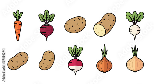 Fresh Vegetables Vector Illustration - Carrot, Beet, Potato, Onion