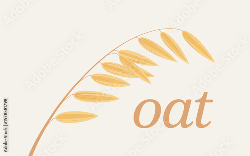 Simple Illustration of an Oat Plant