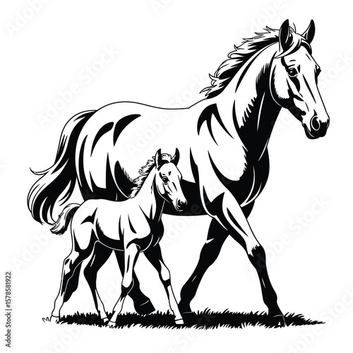 Horse and foal walking side by side in black and white vector illustration showing maternal bond and rural calmness in minimal style