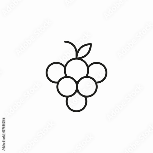 grapes fruit icon sign vector