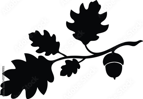  leaves oak branch with acorn silhouette vector illustration