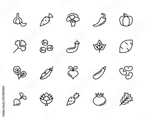 Vegetables related vector linear icons set. Contains such icons as garlic, carrot, broccoli, chilli, pumpkin, parsley, brussels sprouts, eggplant, basil and more.