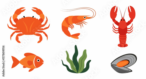 A seafood collection showing a crab, shrimp, lobster, fish, seaweed, and mussel displayed against a white background.