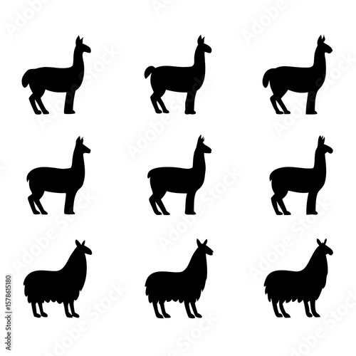Black llama alpaca silhouettes white