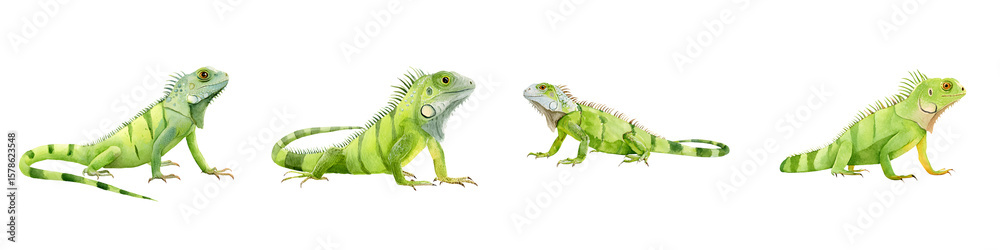 Obraz premium Watercolor Green Iguana Set: Reptiles Isolated on White Background