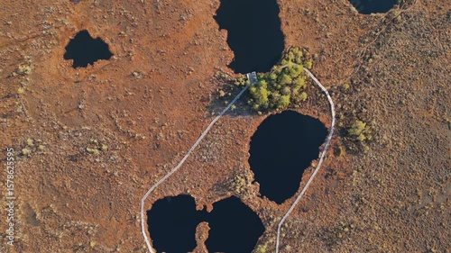 Drone footage of untouched Kuresoo bog with natural wetland and forest in Soomaa National Park, Estonia.