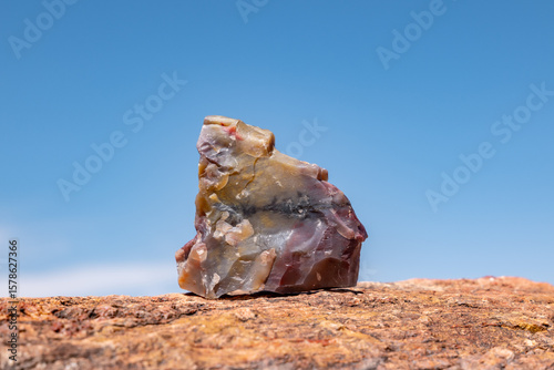 Araucarioxylon arizonicum. Petrified wood is a special type of fossilized wood, the fossilized remains of terrestrial vegetation. Jasper Forest, Petrified Forest National Park, Arizona