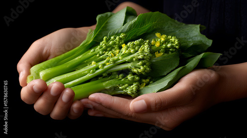 Hands holding a fresh bunch of Chinese broccoli or Gai Lan with flowers.