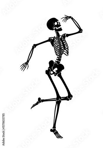 Dancing skeleton on a transparent background
