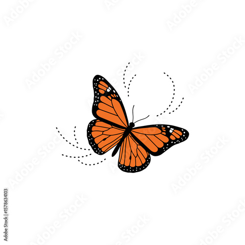 Single monarch butterfly with dotted lines on a white background