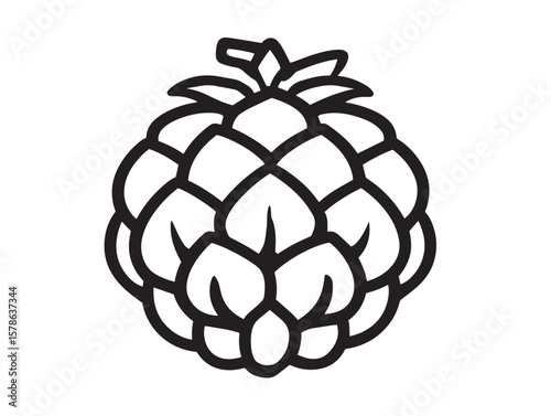 Exotic Custard Apple Vector in Hand Drawn Style