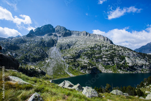 Summer landscape in Vall de Boi in Aiguestortes and Sant Maurici National Park, Spain