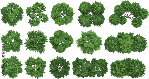 Top view green tree collection, realistic foliage set, landscaping design elements, garden planning clipart, 