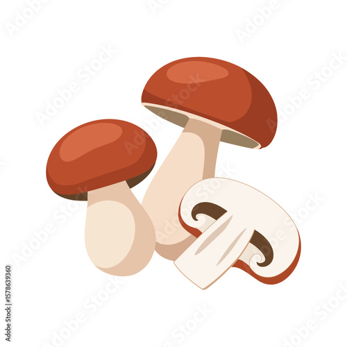 Illustration of three brown and white mushrooms one sliced in half