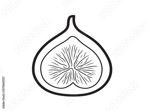 Organic Sliced Fig Fruit in Clean Line Art