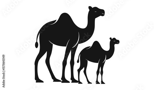 Silhouette of a large adult camel standing next to a smaller camel calf