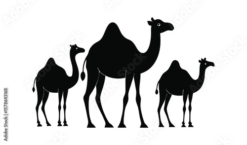 Three black silhouette camels standing together on a white background