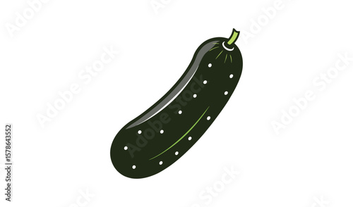A single dark green cucumber with white dots on a white background