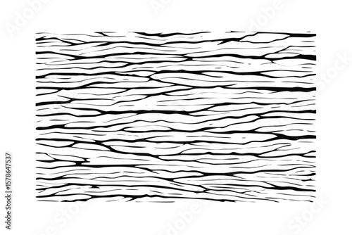 Realistic Tree Bark Seamless Vector Pattern. Detailed Engraved Wooden Texture. Black and White Natural Background