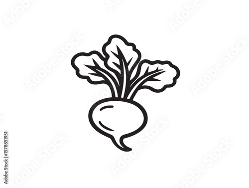 Crisp Kohlrabi Vegetable Line Art Vector Icon