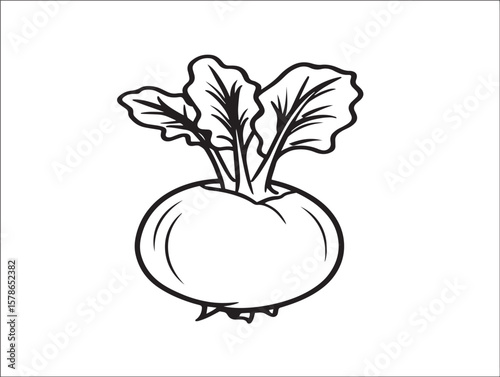 Healthy Kohlrabi Vegetable Flat Line Design