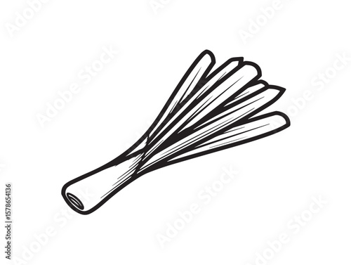 Fresh Green Leek Clean Outline Vector Icon