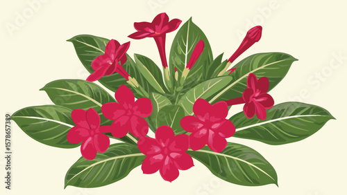 Illustration of a flowering plant with red blooms and green leaves on a light background color scheme