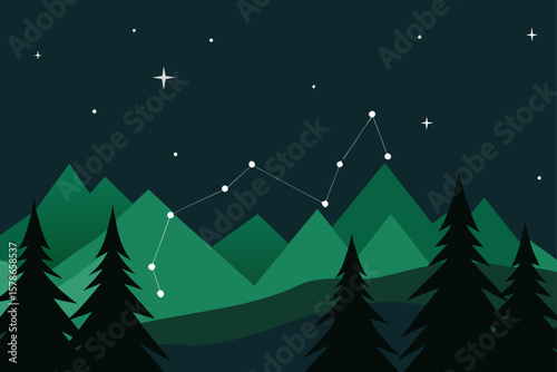 constellations above a silent evergreen forest