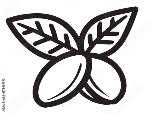 Fresh Miracle Fruit Outline Vector Art Design