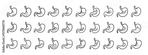 Stomach organ line icon set. Vector pictograms of digestive system, human stomach, internal organs, gastrointestinal health, thin linear medical illustrations.