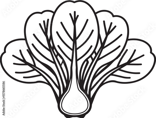 Delicious Bok Choy Icon in Elegant Line Drawing