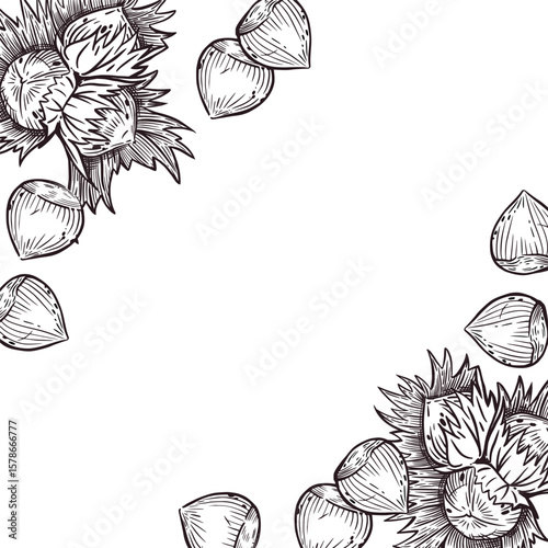 Square vector frame of hazelnuts, hazelnuts with leaves. Hand-drawn in vector. The illustration is suitable for printing on food packaging, store window design. Vector illustration
