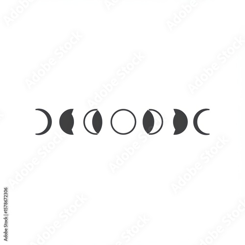 Moon Phases Vector