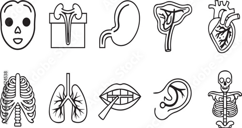 Healthcare Anatomy Icons Collection