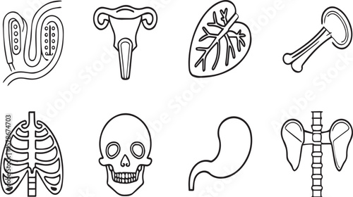 Vector Icons of Human Body Parts