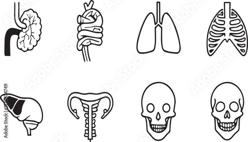 Medical Anatomy Line Art Icons