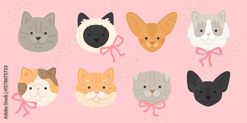 Vector illustration of сartoon cats breeds set. Cute faces of abissian, persian, siamese, scottish fold, golden shader, Exotic Shorthair with pink ribbons. Flat style images. Pets with bows.