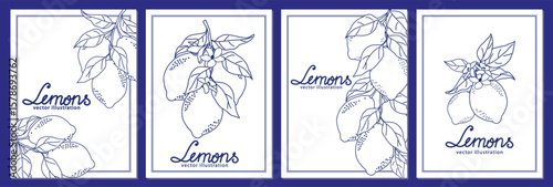 Set of vector illustrations featuring detailed lemon sketches. Each design highlights the unique shape and texture of lemons, perfect for culinary and botanical projects.