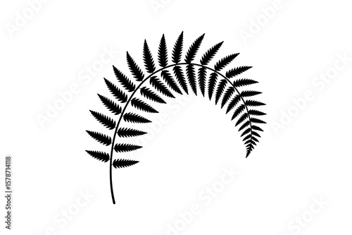 Black Silhouette of a Leafy Fern Frond Curved Downward