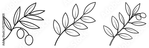 Olive Branch Coloring Book Page - Outline Design