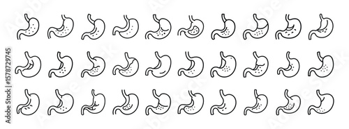 Stomach organ line icon set. Vector pictograms of human stomach, digestive system, gastric anatomy, internal organ, health and biology symbol, thin linear illustration.
