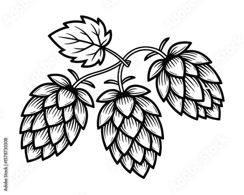Hand-Drawn Hop Cone Art - Stylized Monochromatic Design for Beer Branding