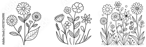 Summer Wild Meadow Flowers Coloring Book Page - Outline Vector Line Art