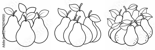 Various Pears Outline - Coloring Book Page Line Art Vector