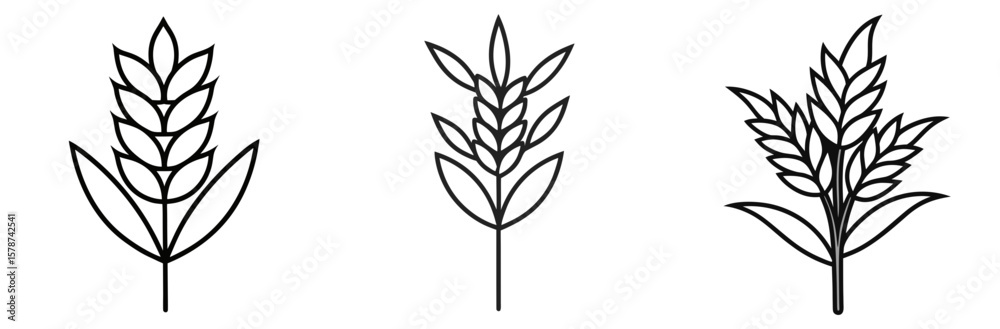Naklejka premium Wheat Plant Outline - Coloring Book Page Line Art Vector