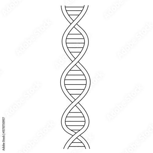 A stylized, vertical depiction of a DNA double helix, illustrating its helical structure and paired bases.