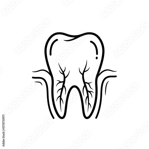 Simple black and white illustration of a healthy human tooth with roots.