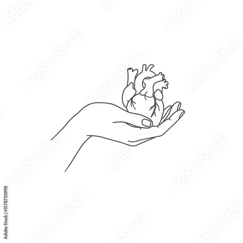 A delicate hand cradles a detailed anatomical illustration of a human heart.