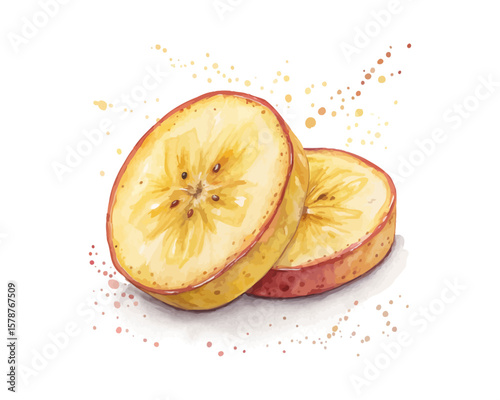 watercolor Banana Slice vector illustration isolated on white background